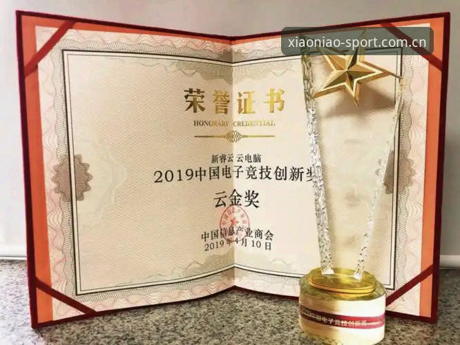 小鸟棋牌平台全方位评测：创新竞技体验与实用指南